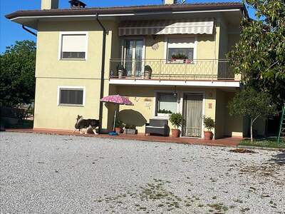 Haus mit Garten kaufen (Bild 4)