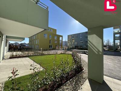 Wohnung mit Balkon kaufen in 4481 Asten (Bild 5)