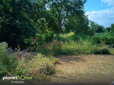 Grundstück kaufen in 2410 Hainburg (Bild 5)