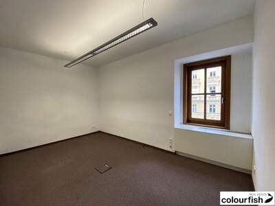 Gewerbeobjekt mieten in 1010 Wien (Bild 4)