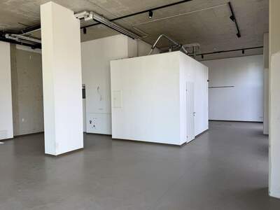 Gewerbeobjekt mieten in 8020 Graz (Bild 4)