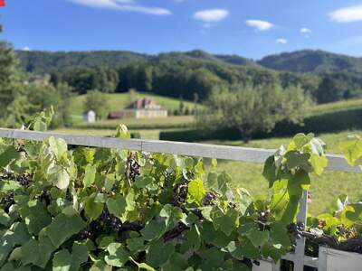 Haus kaufen in 8430 Leibnitz (Bild 1)