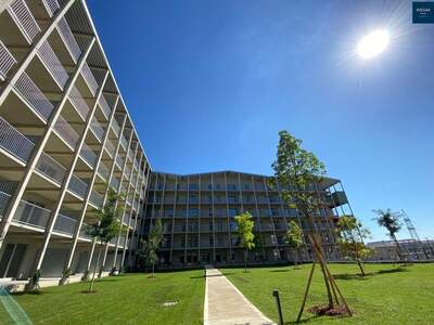 Apartment provisionsfrei mieten in 8020 Steiermark