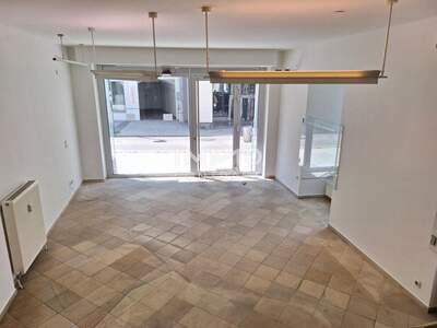 Altbauwohnung mieten in 4600 Wels (Bild 4)