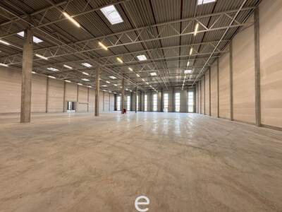 Gewerbeobjekt mieten in 4470 Enns (Bild 2)