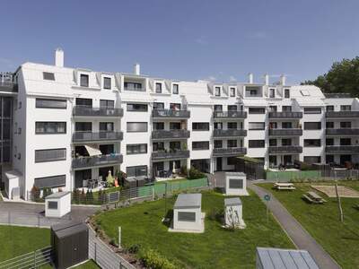 Terrassenwohnung mieten in 2700 Wr. Neustadt (Bild 1)