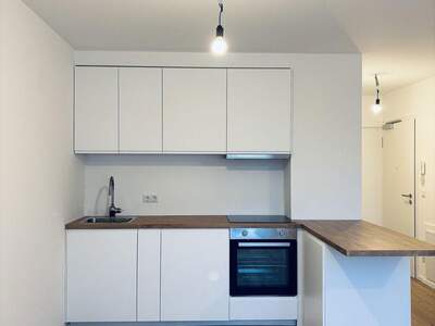 Mietwohnung in 1130 Wien (Bild 4)