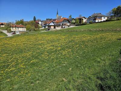 Grundstück kaufen in 4372 Sankt Georgen