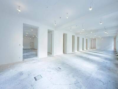 Gewerbeobjekt mieten in 1010 Wien