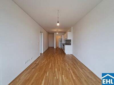 Terrassenwohnung mieten in 1020 Wien (Bild 2)
