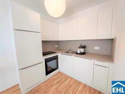 Terrassenwohnung mieten in 1100 Wien (Bild 3)