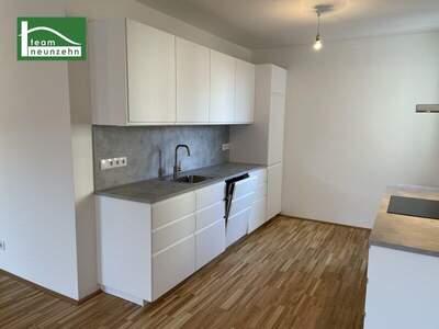 Terrassenwohnung mieten in 1230 Wien (Bild 3)