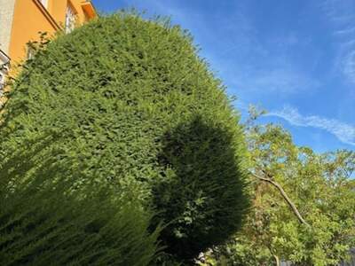 Mietwohnung in 1180 Wien (Bild 1)