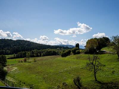 Mehrfamilienhaus kaufen in 9062 Moosburg (Bild 3)