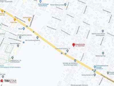 Haus kaufen in 1220 Wien (Bild 5)