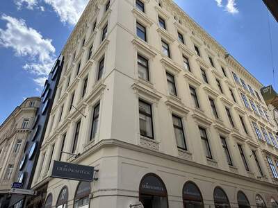 Gewerbeobjekt mieten in 1010 Wien