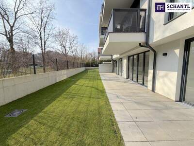 Terrassenwohnung kaufen in 1210 Wien (Bild 4)