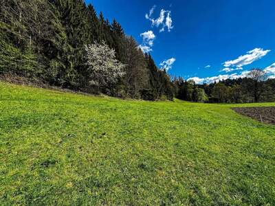 Grundstück kaufen in 6305 Itter