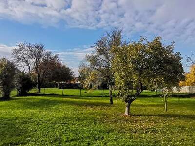 Grundstück kaufen in 7091 Breitenbrunn