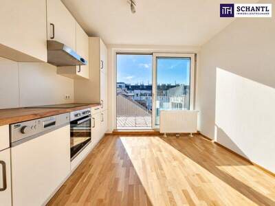 Terrassenwohnung kaufen in 1040 Wien (Bild 3)