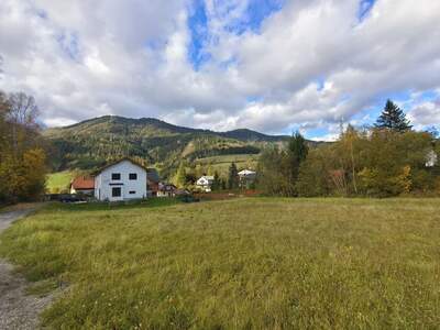 Grundstück kaufen in 8684 Spital (Bild 5)