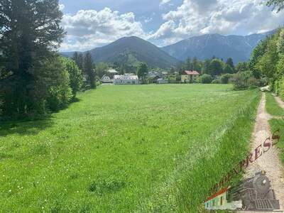 Grundstück kaufen in 2734 Puchberg (Bild 3)