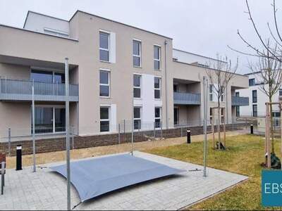 Wohnung mieten in 3680 Persenbeug