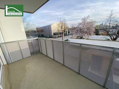 Terrassenwohnung mieten in 2700 Wr. Neustadt (Bild 5)