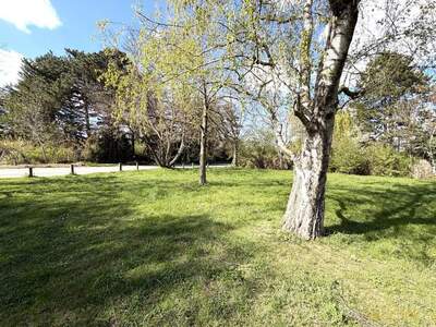 Grundstück kaufen in 1220 Wien