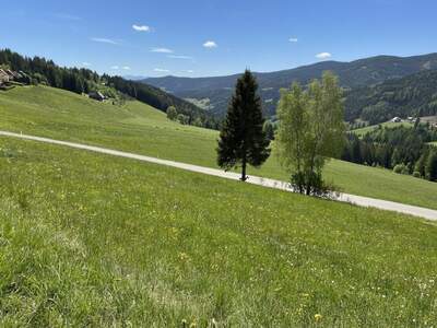 Grundstück kaufen in 8742 Obdach (Bild 5)