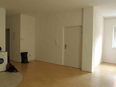 Terrassenwohnung mieten in 4600 Wels (Bild 3)