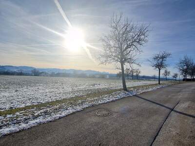 Haus mit Garten kaufen in 4400 Steyr (Bild 2)