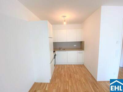 Terrassenwohnung mieten in 1100 Wien (Bild 2)