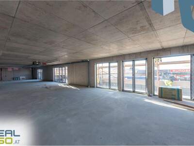 Gewerbeobjekt mieten in 4150 Rohrbach (Bild 5)