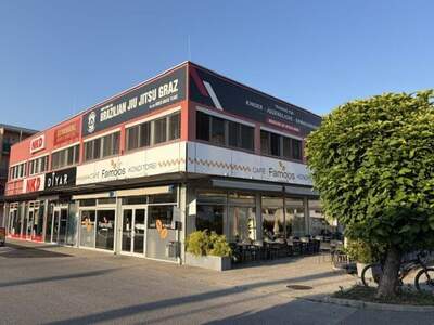 Gewerbeobjekt mieten in 8020 Graz (Bild 1)