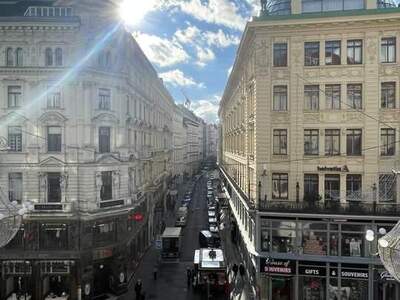 Gewerbeobjekt mieten in 1010 Wien