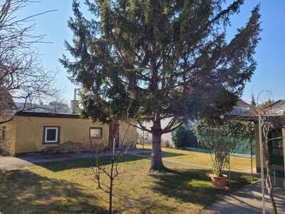 Grundstück kaufen in 2380 Perchtoldsdorf