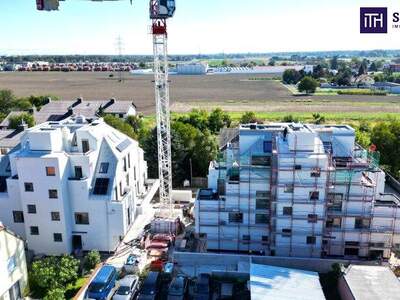 Terrassenwohnung kaufen in 1220 Wien (Bild 3)