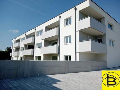 Terrassenwohnung mieten in 3382 Loosdorf (Bild 1)