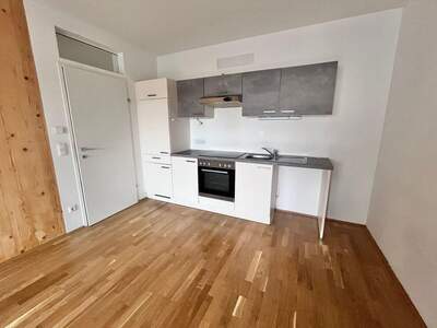 Apartment provisionsfrei mieten in 8020 Steiermark