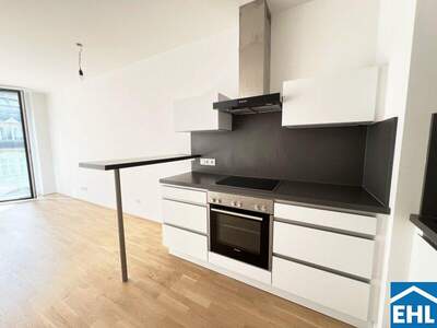 Terrassenwohnung kaufen in 4020 Linz (Bild 4)