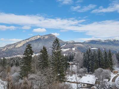 Wohnung kaufen in 4822 Bad Goisern