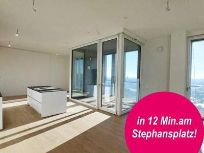 Terrassenwohnung mieten in 1220 Wien (Bild 1)