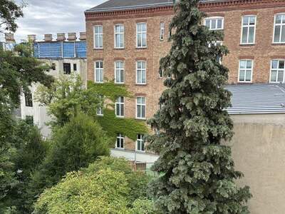 Altbauwohnung kaufen in 1170 Wien (Bild 1)