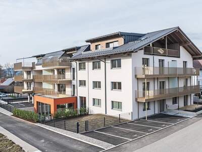 Anlageobjekt kaufen in 4893 Zell