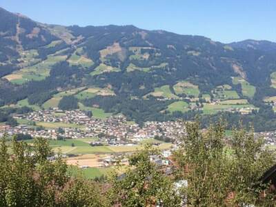 Grundstück kaufen in 6265 Hart (Bild 1)