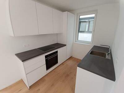 Terrassenwohnung mieten in 1050 Wien (Bild 4)