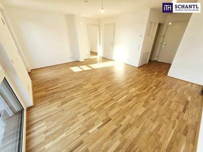 Terrassenwohnung kaufen in 1220 Wien (Bild 5)