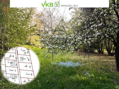 Grundstück kaufen in 4211 Spattendorf
