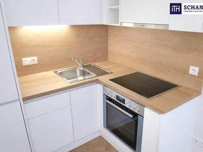 Eigentumswohnung in 1020 Wien (Bild 3)